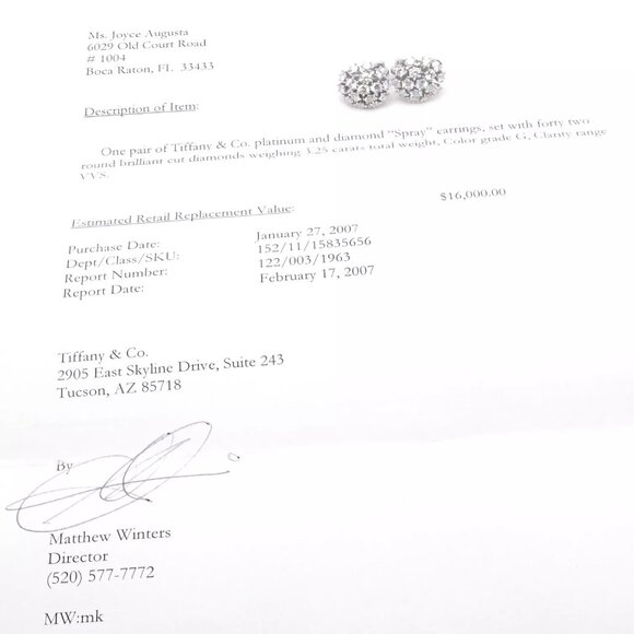 Authentic Tiffany & Co Spray Platinum Diamond Necklace Earrings Set Paper France - Picture 8 of 16